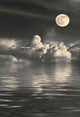 Golden Full Moon Wall Decal