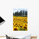 Sunflower Field Tuscany Wall Decal