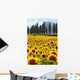 Sunflower Field Tuscany Wall Decal