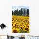 Sunflower Field Tuscany Wall Decal