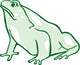 Frog Wall Decal