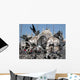 Saint Mark's Square Venice Wall Decal