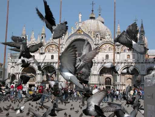 Saint Mark's Square Venice Wall Decal