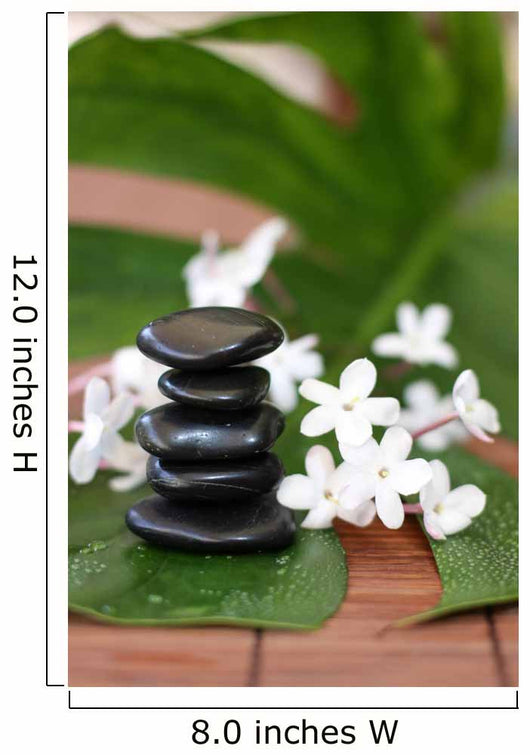 Quiet Serene Beauty Wall Decal