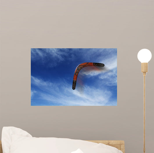 Boomerang Flies Wall Decal