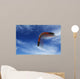 Boomerang Flies Wall Decal