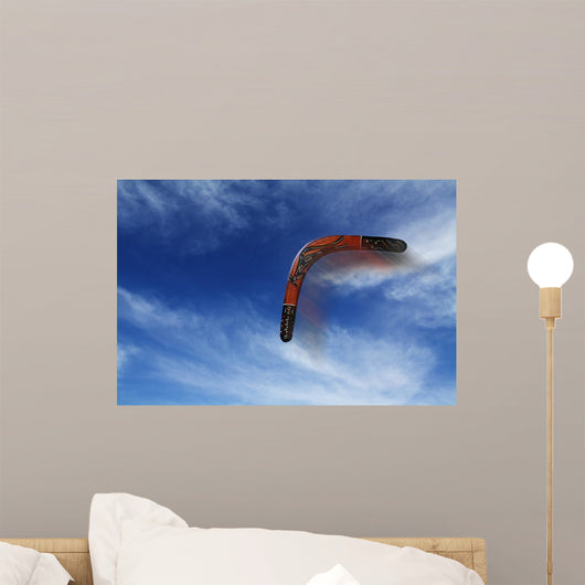 Boomerang Flies Wall Decal