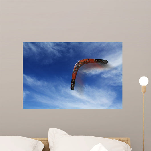 Boomerang Flies Wall Decal