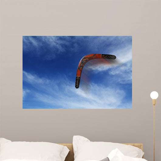 Boomerang Flies Wall Decal