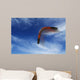 Boomerang Flies Wall Decal