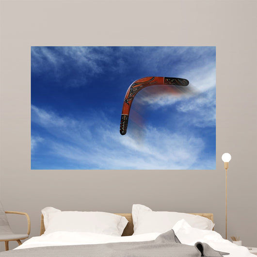 Boomerang Flies Wall Decal