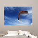 Boomerang Flies Wall Decal
