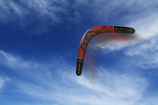 Boomerang Flies Wall Decal