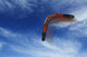 Boomerang Flies Wall Decal