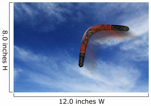Boomerang Flies Wall Decal