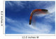 Boomerang Flies Wall Decal