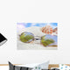 Sunglasses Beach with Seashells Wall Decal Design 4