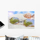 Sunglasses Beach with Seashells Wall Decal Design 4