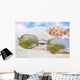 Sunglasses Beach with Seashells Wall Decal Design 4