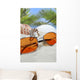 Sunglasses Beach with Seashells Wall Decal Design 3