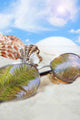 Sunglasses Beach with Seashells Wall Decal Design 2