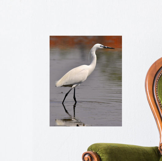 Garzetta White Egret Wall Decal