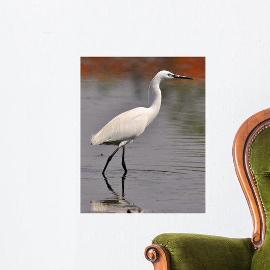 Garzetta White Egret Wall Decal