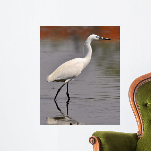 Garzetta White Egret Wall Decal