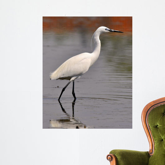 Garzetta White Egret Wall Decal