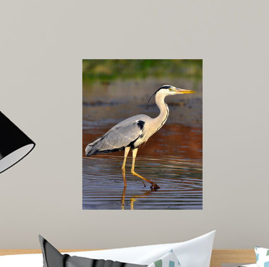 Airone Heron Wall Decal Design 1