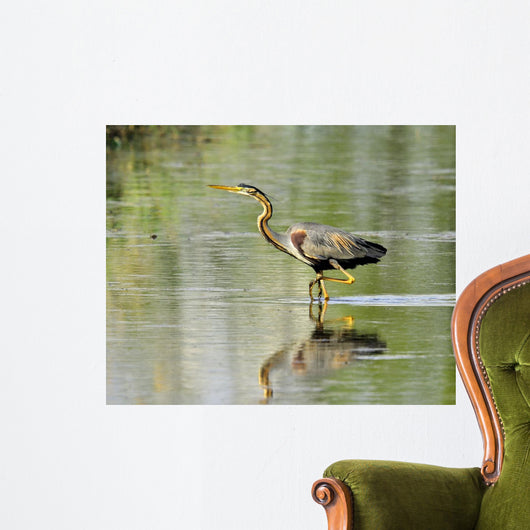 Purple Heron-purple Heron Wall Decal