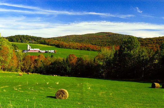 Scenic Farm Wall Decal