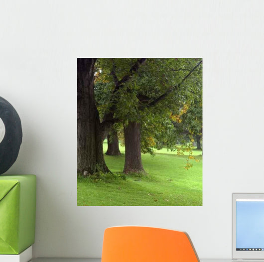 Welcoming Trees Wall Decal