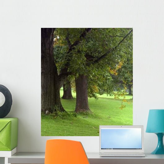 Welcoming Trees Wall Decal