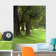 Welcoming Trees Wall Decal