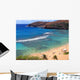 Snorkeling and Sunbathing Hanauma Wall Decal