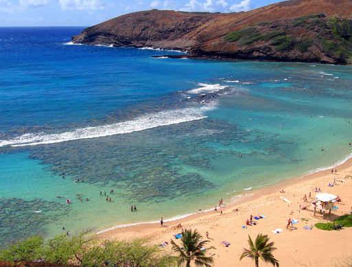 Snorkeling and Sunbathing Hanauma Wall Decal