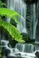 Garden Waterfalls Wall Decal