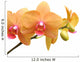 Orchid Flower Wall Decal