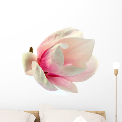 Magnolia Wall Decal shown on a wall