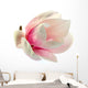 Magnolia Wall Decal