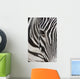 Grevy's Zebra 2560 Crop Wall Decal