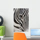 Grevy's Zebra 2560 Crop Wall Decal