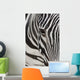Grevy's Zebra 2560 Crop Wall Decal