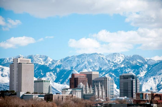Salt Lake City Skyline and Mountains Wall Decal