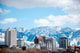 Salt Lake City Skyline and Mountains Wall Decal