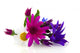 Flowers Wall Decal Design 4