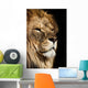 Lion Wall Decal Design 3