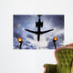 Plane Passes Overhead Wall Decal