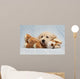 Golden Retriever Puppy Blue Wall Decal